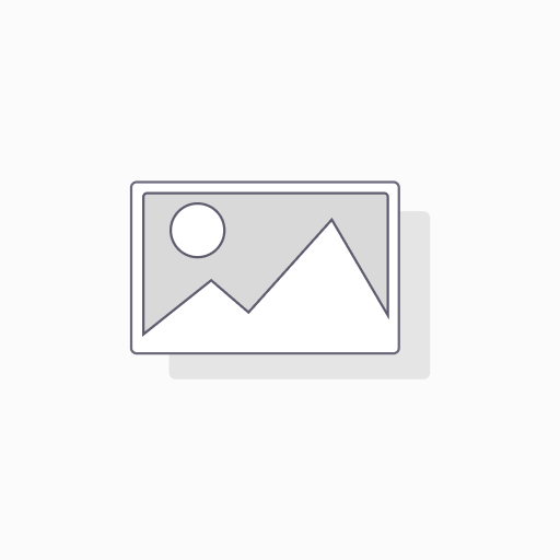 6004-C-2HRSC3 FAG